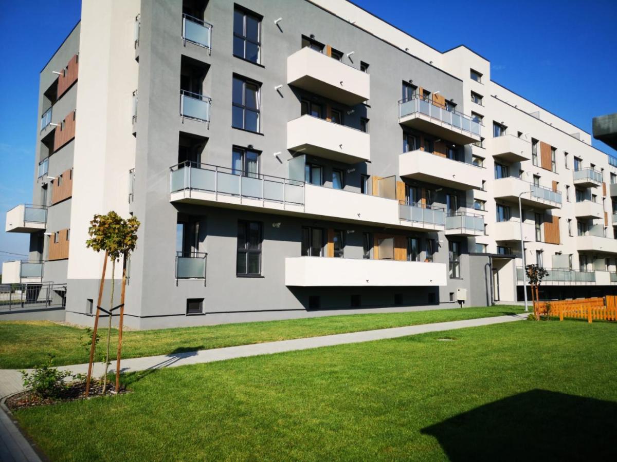 Ludi House Apartment Targu Mures Exterior photo